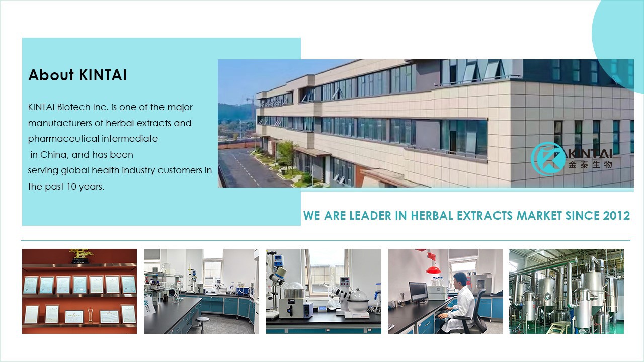 KINTAI R&D Center KINTAI R&D Center