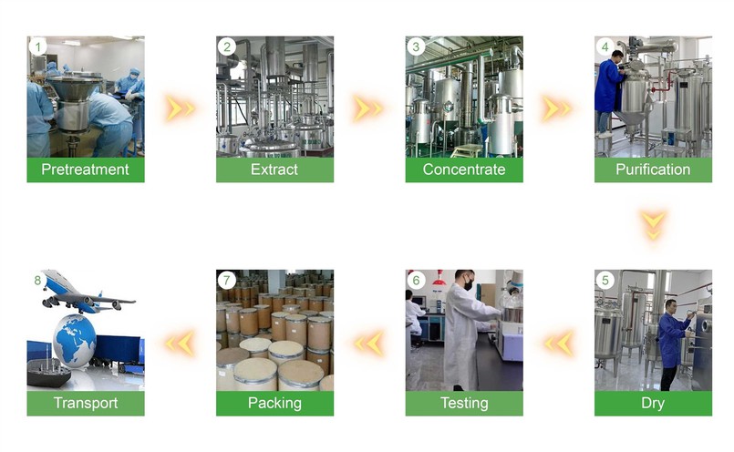 Production Process Production Process