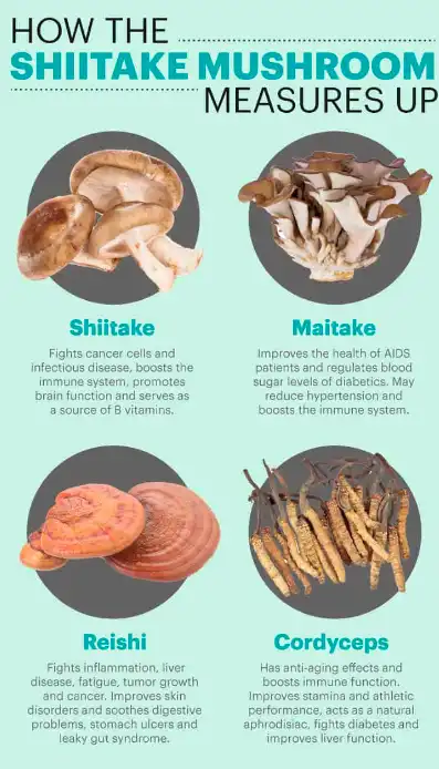Shiitake Mushrooms