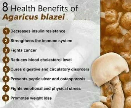 Functions of Agaricus Blazei Mushroom Extract Functions of Agaricus Blazei Mushroom Extract