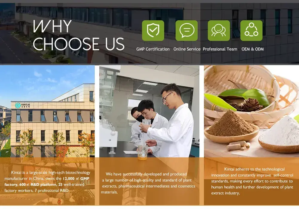 Our Advantages Our Advantages