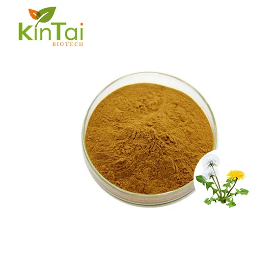 Dandelion Extract ዱቄት