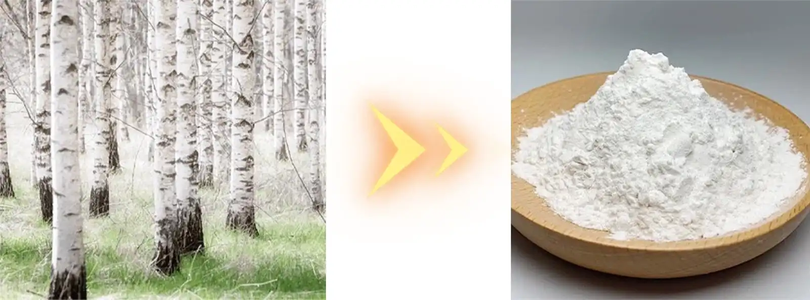 Betulin Powder