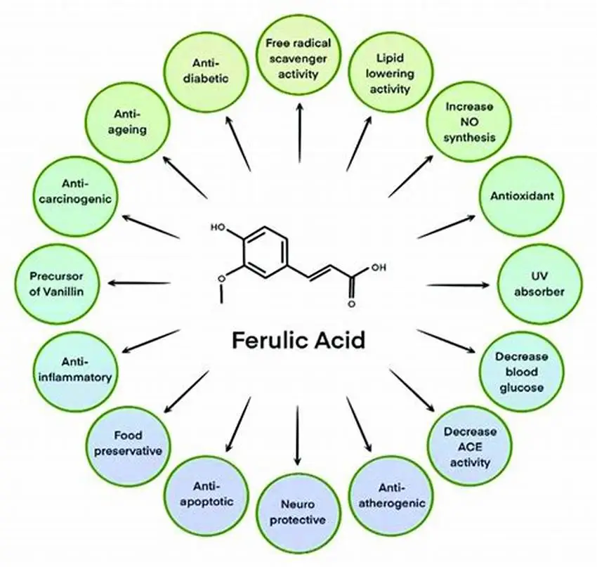 benefits of ferulic acid benefits of ferulic acid