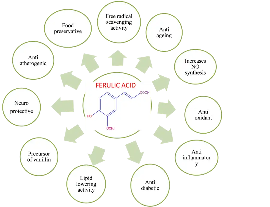 benefits of ferulic acid
