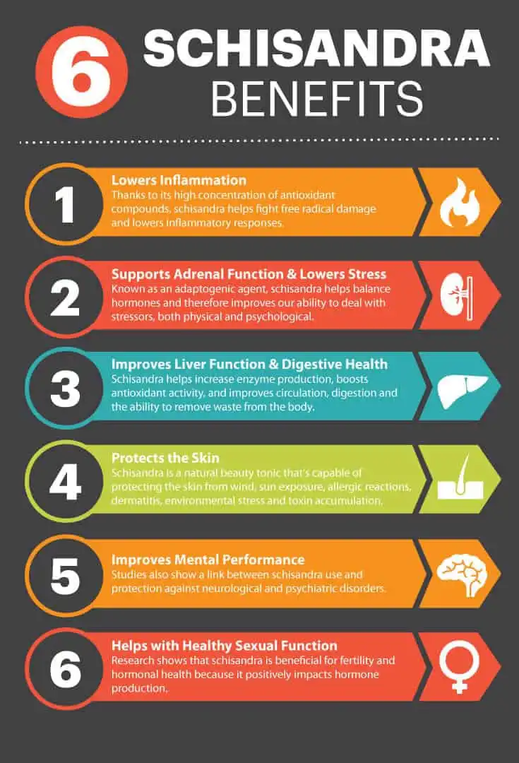 Benefits of Schisandrin A Powder Benefits of Schisandrin A Powder