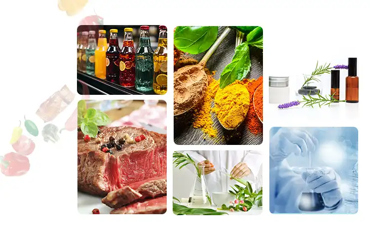 Applications of Gingerol Powder Applications of Gingerol Powder