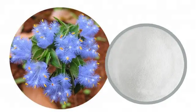 Cyanotis Arachnoides Extract Cyanotis Arachnoides Extract