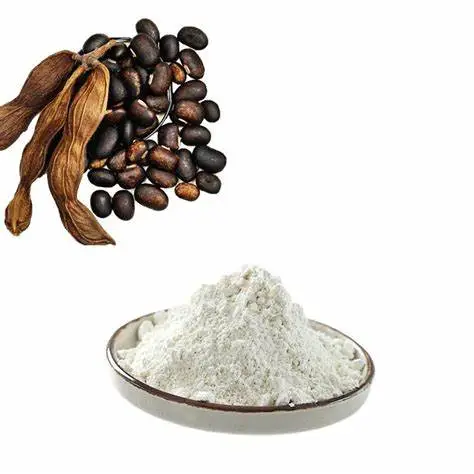 Levodopa Powder Levodopa Powder