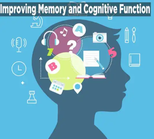 baicalin powder can improve cognitive function and memory baicalin powder can improve cognitive function and memory