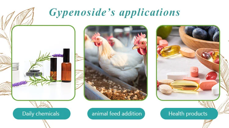 Applications of Gynostemma Extract Powder Applications of Gynostemma Extract Powder