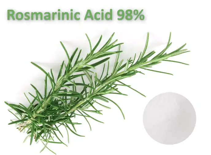 rosmarinic acid powder