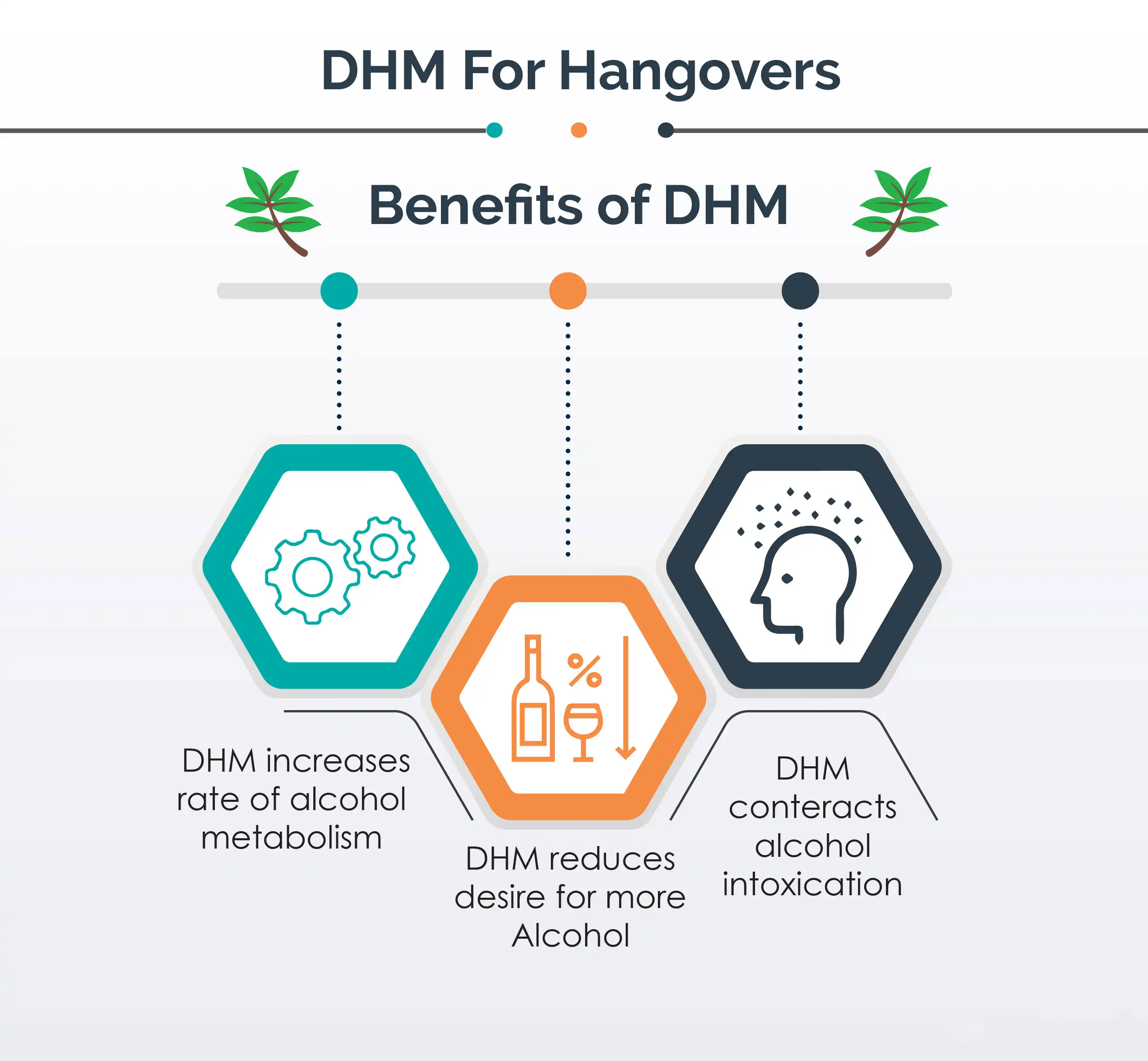 Dihydromyricetin can reduce hangovers