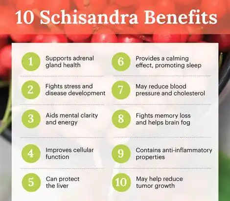 health benefits of Schisandrin A health benefits of Schisandrin A