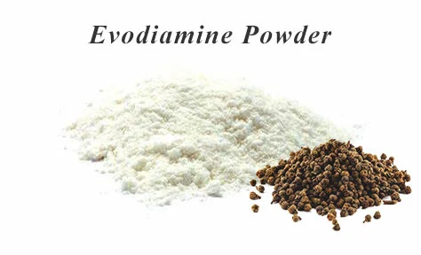 Evodiamine Powder Evodiamine Powder