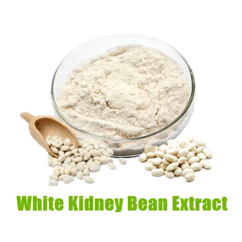 White Kidney Bean Extract Powder White Kidney Bean Extract Powder