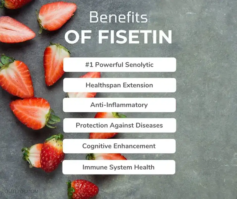 benefits of Fisetin Powder benefits of Fisetin Powder