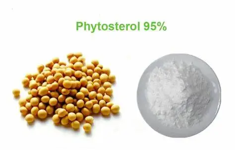 95% Phytosterol Beta Sitosterol Powder 95% Phytosterol Beta Sitosterol Powder