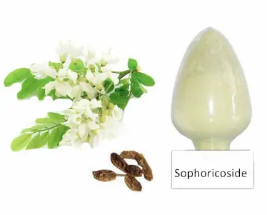 Sophoricoside Powder Sophoricoside Powder