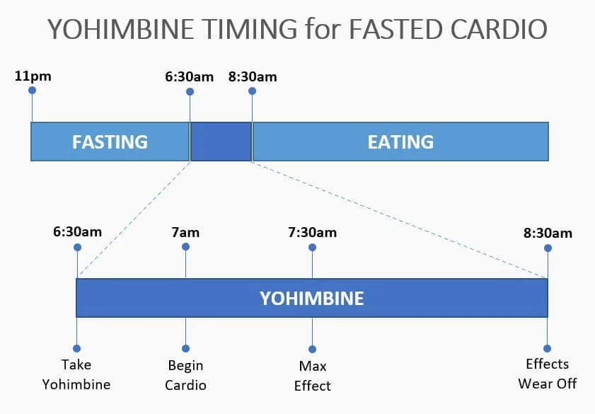 Yohimbine Timing Yohimbine Timing