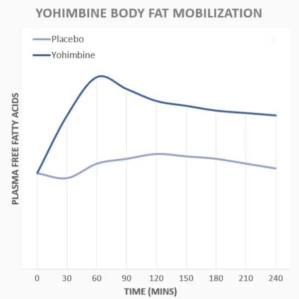 YOHIMBINE BODY FAT MOBILIZATION YOHIMBINE BODY FAT MOBILIZATION