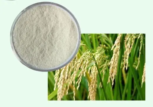 Ceramid Pur Ceramid Pur