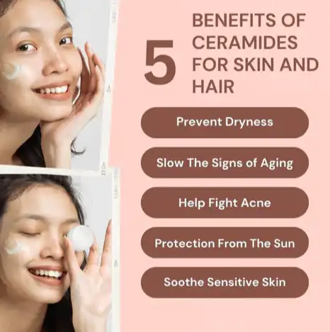 Swyddogaethau Ceramid Pur Swyddogaethau Ceramid Pur