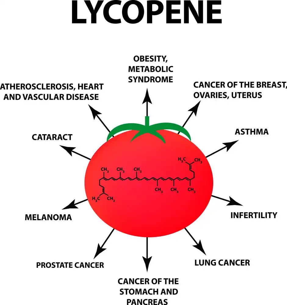 Benefits of Tomato Extract Lycopene Benefits of Tomato Extract Lycopene