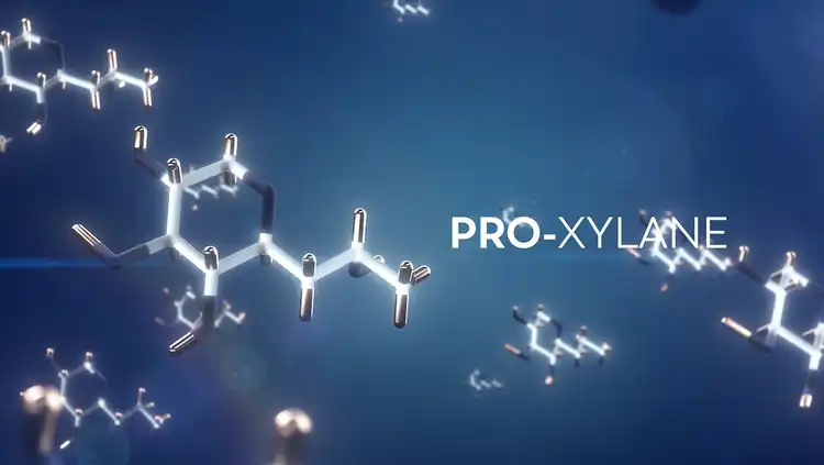 Pro-xylane powder