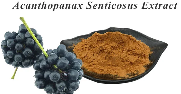 Acanthopanax Senticosus Extract Acanthopanax Senticosus Extract