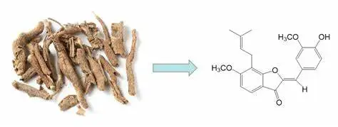 Acanthopanax senticosus extract Acanthopanax senticosus extract