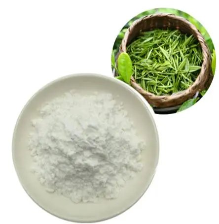 L Theanine Powder L Theanine Powder