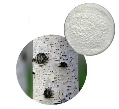 Betulin Powder Betulin Powder