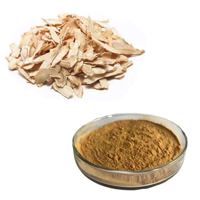 Angelica Powder Angelica Powder