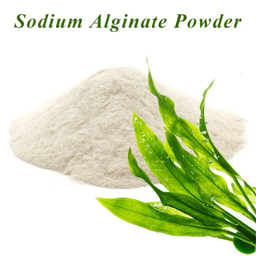 Sodium Alginate Powder Sodium Alginate Powder