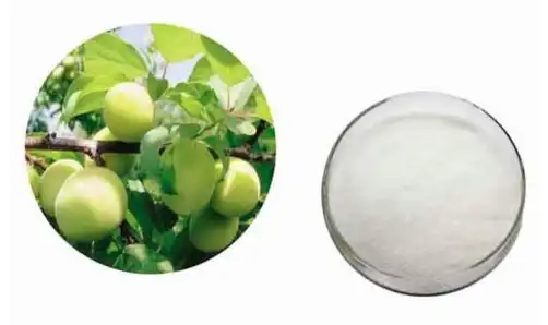 Oleanolic Acid Powder Oleanolic Acid Powder