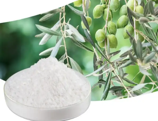 Oleanolic Acid Powder Oleanolic Acid Powder