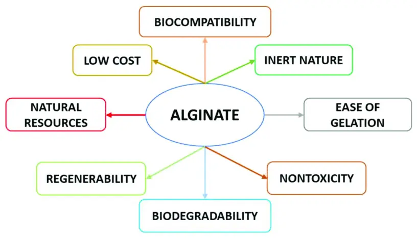 Functions of Sodium Alginate Powder Functions of Sodium Alginate Powder