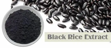 Black Rice Extract Powder Black Rice Extract Powder