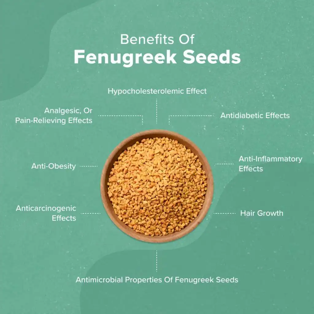 Benefits of Fenugreek Powder Benefits of Fenugreek Powder
