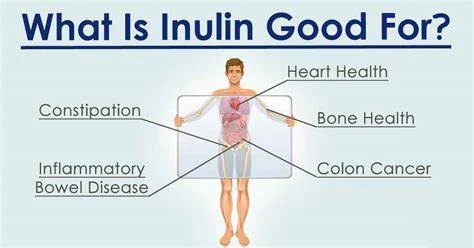 Benefits of Chicory Root Powder Inulin Benefits of Chicory Root Powder Inulin