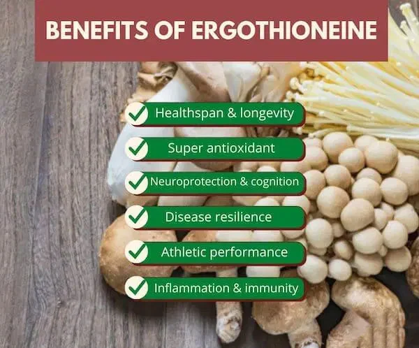 የ L ergothioneine ዱቄት ጥቅሞች