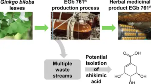 Shikimic Acid Extracted and Processed
