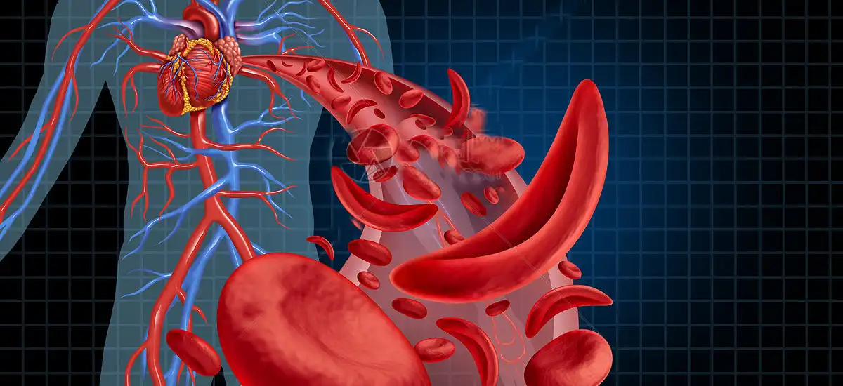 product-1200-550 product-1200-550