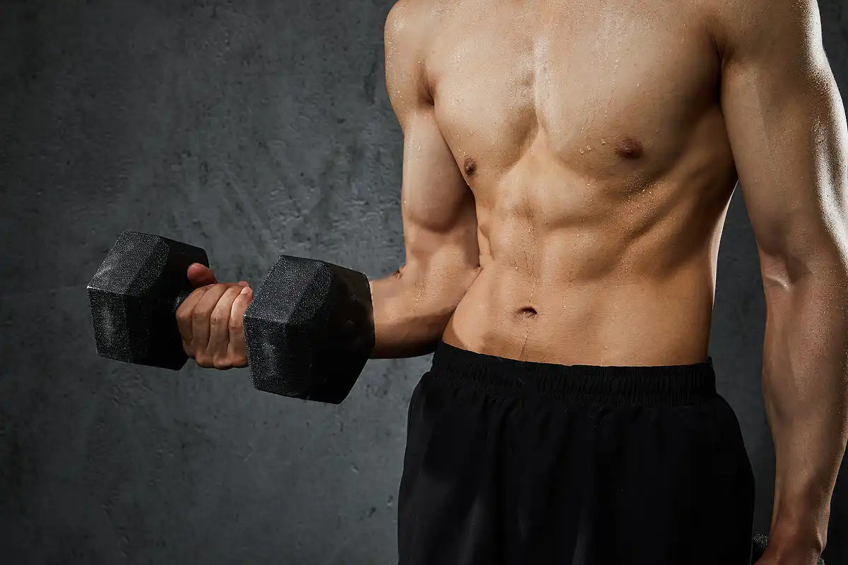 Promote Protein Synthesis Promote Protein Synthesis