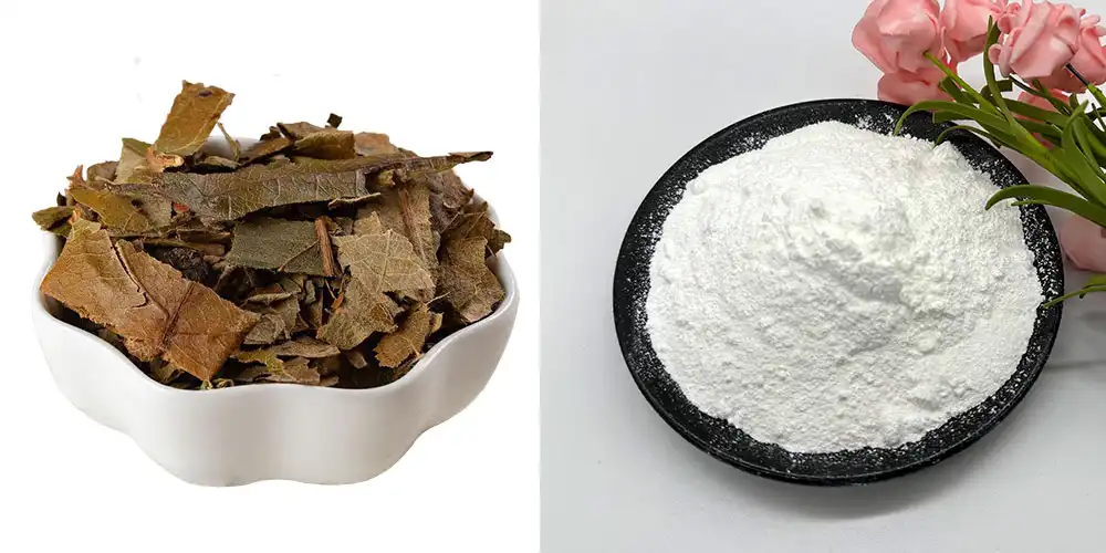 product-1000-500 product-1000-500