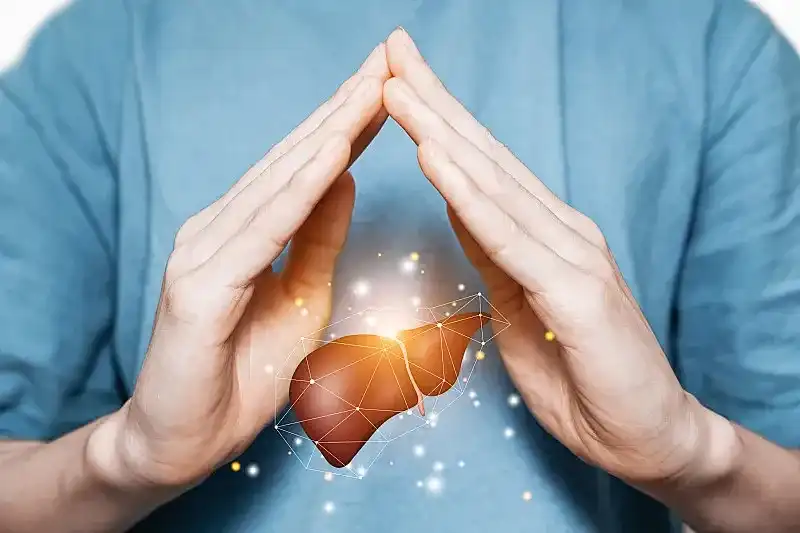 choleretic effect
