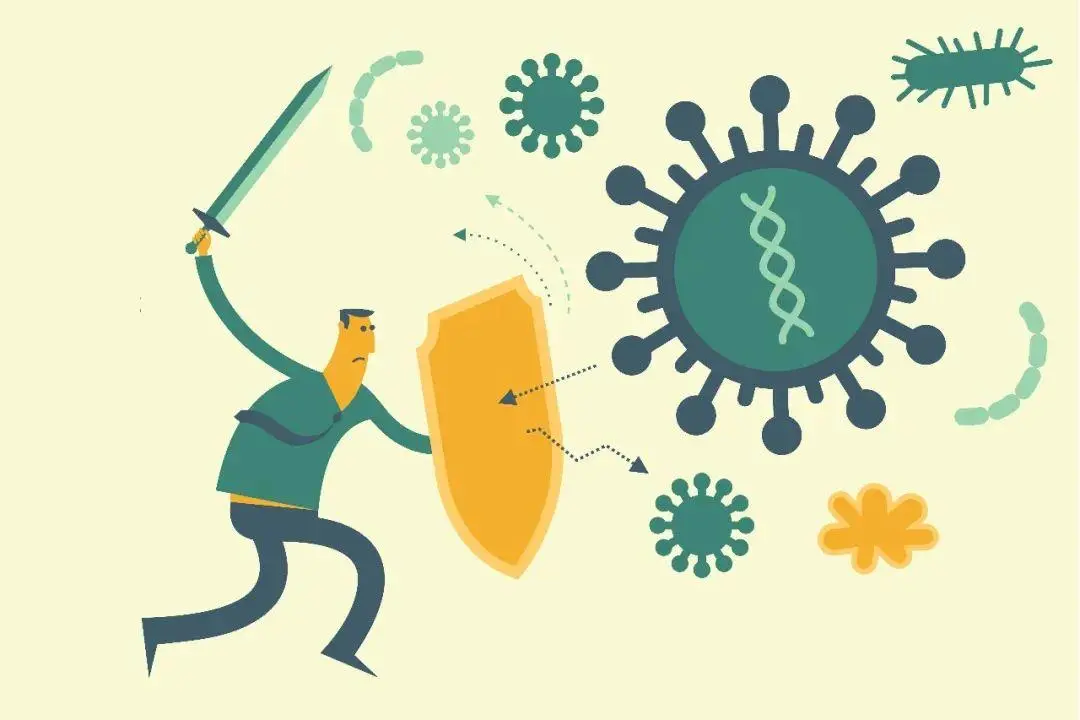 Immunomodulatory effect