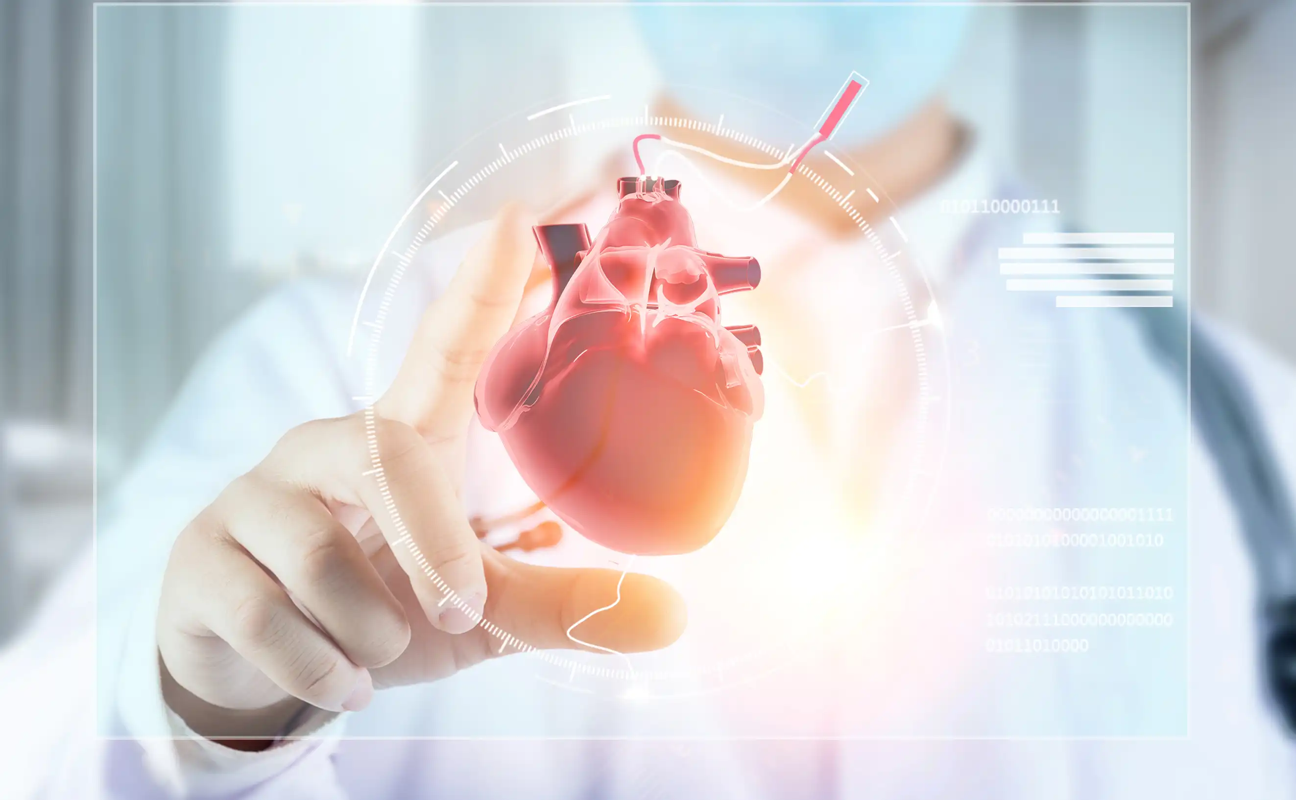 product-2646-1634 product-2646-1634