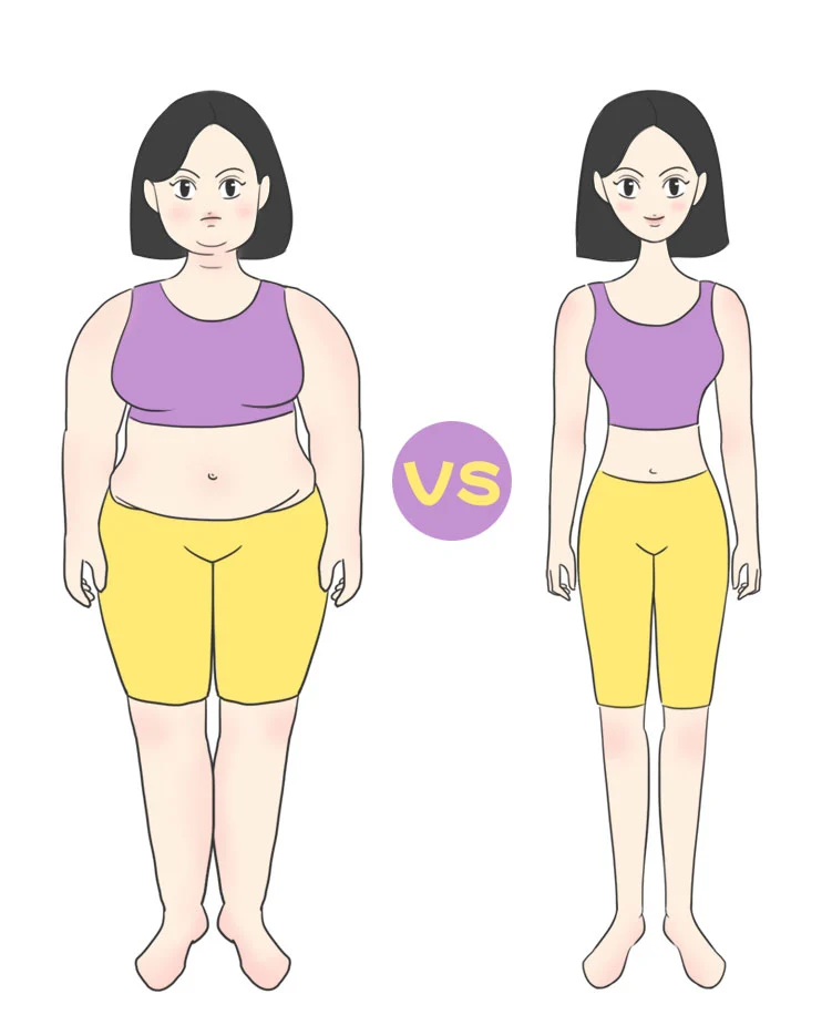 Stevioside sweetener can help control weight